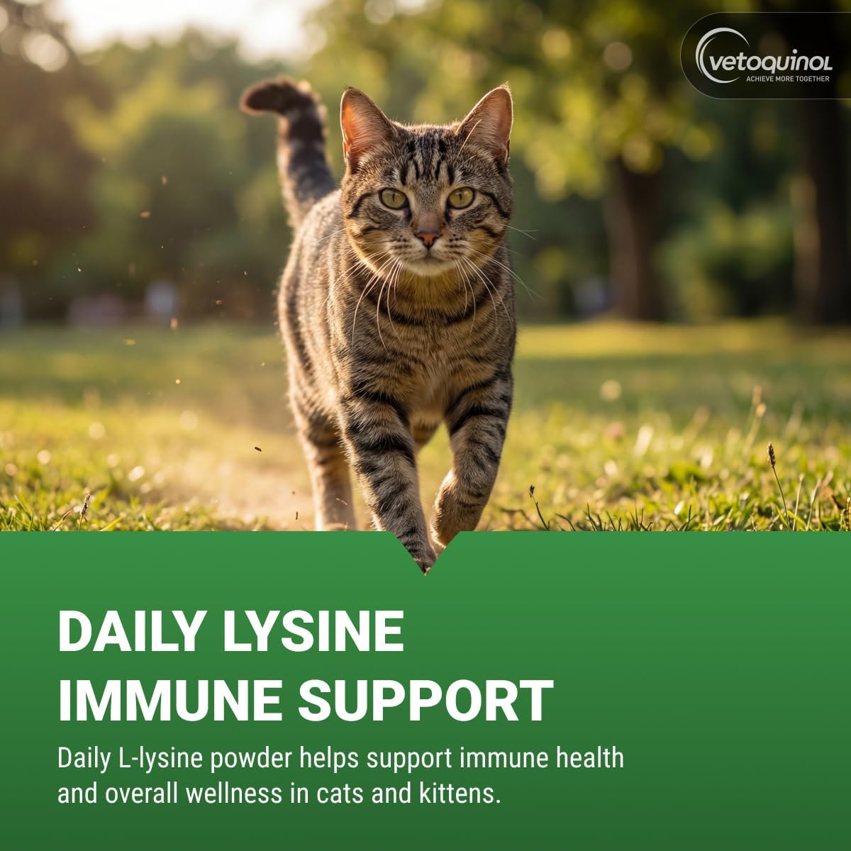 Advanced Feline Immune & Ocular Support