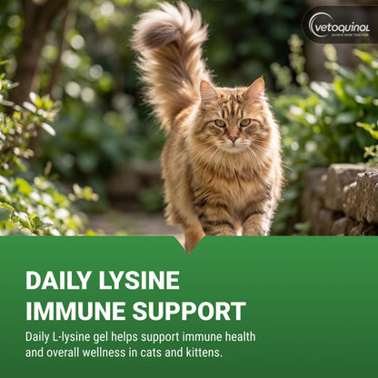 Advanced Feline Immune & Respiratory Gel