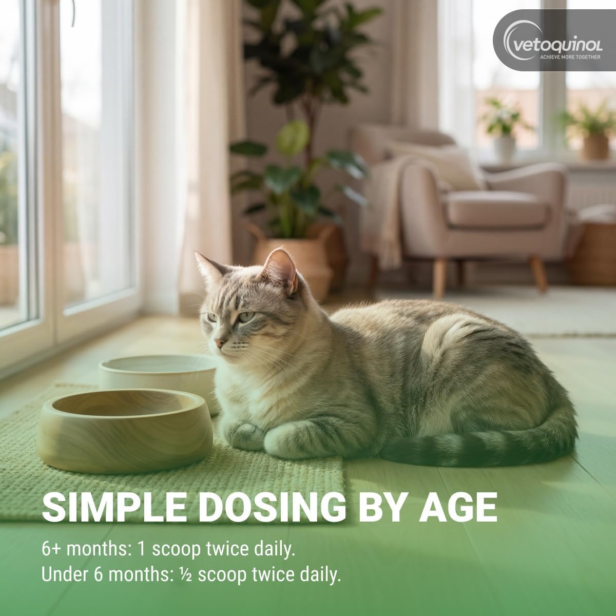 Advanced Feline Immune & Ocular Support