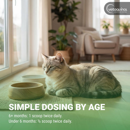 Advanced Feline L-Lysine Immune Support