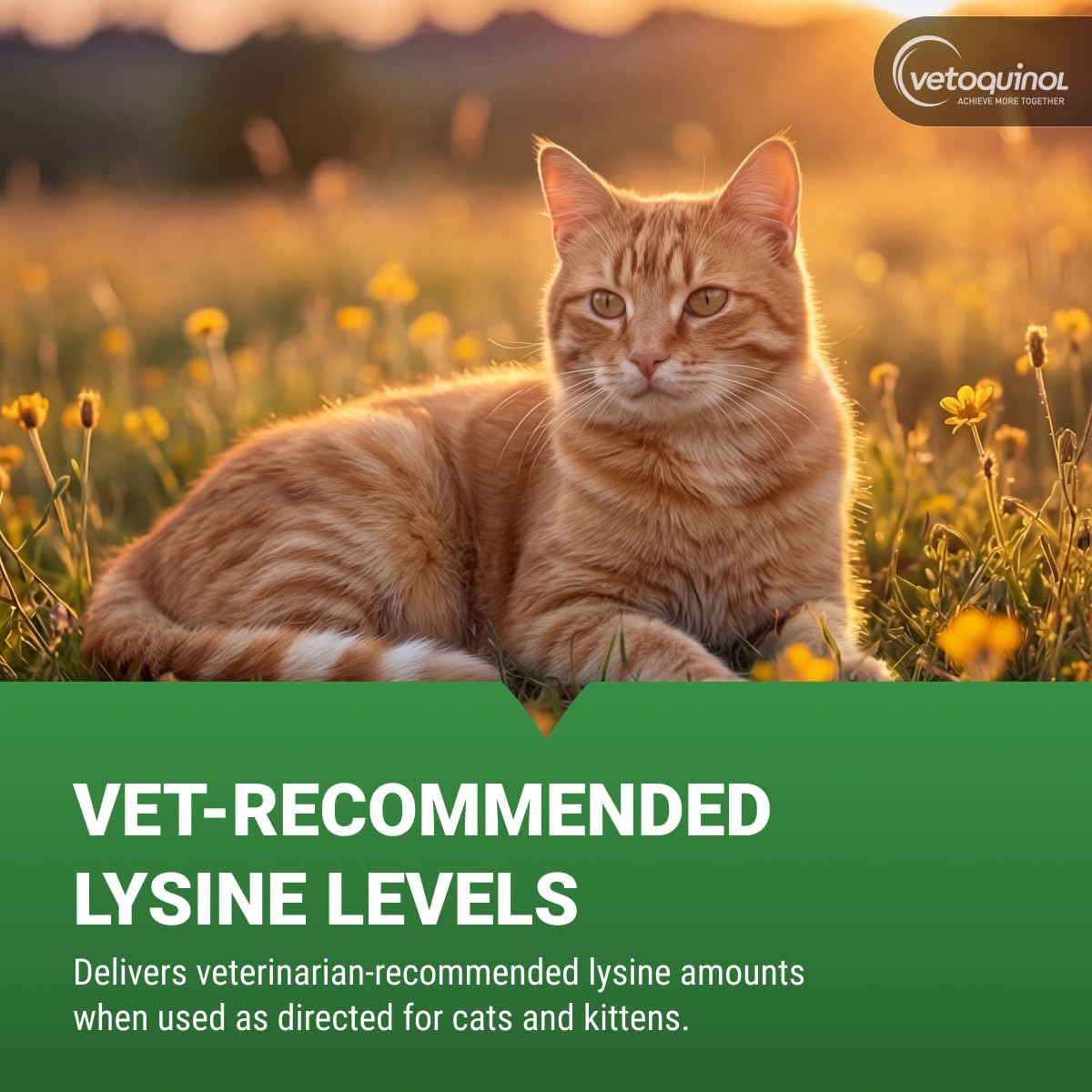 Advanced Feline Immune & Respiratory Gel